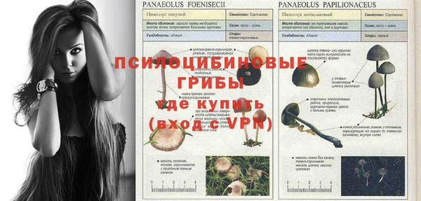 a pvp Алзамай