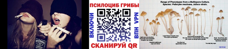 Псилоцибиновые грибы MAGIC MUSHROOMS  ссылка на мегу маркетплейс  Железноводск 