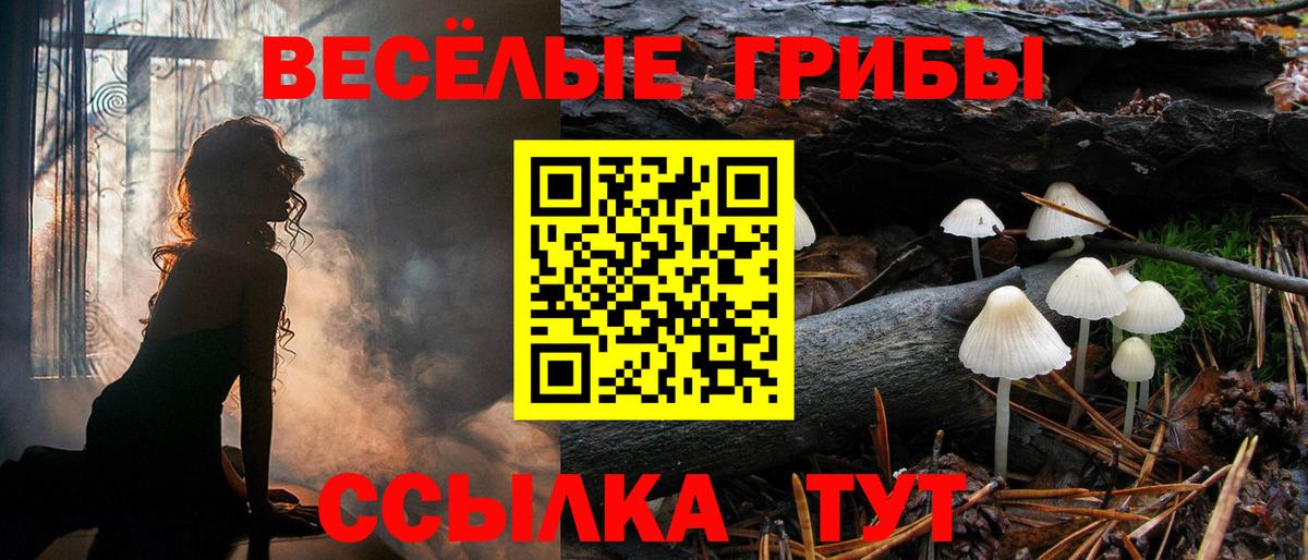 Галлюциногенные грибы Psilocybine cubensis  Галлюциногенные грибы Psilocybine cubensis  Железноводск  Вход с VPN 